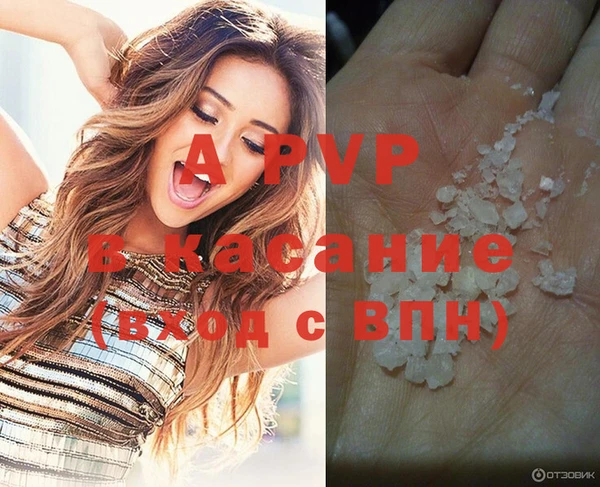 мяу мяу мука Медвежьегорск