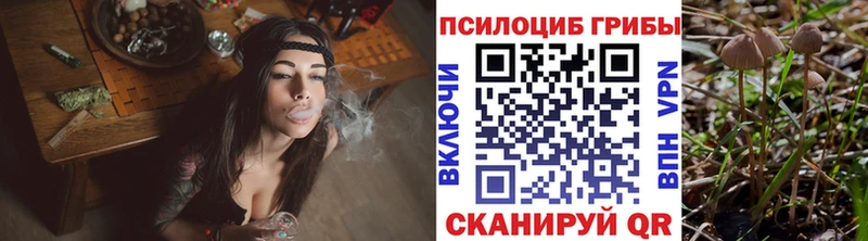 Галлюциногенные грибы мухоморы  Спас-Деменск 